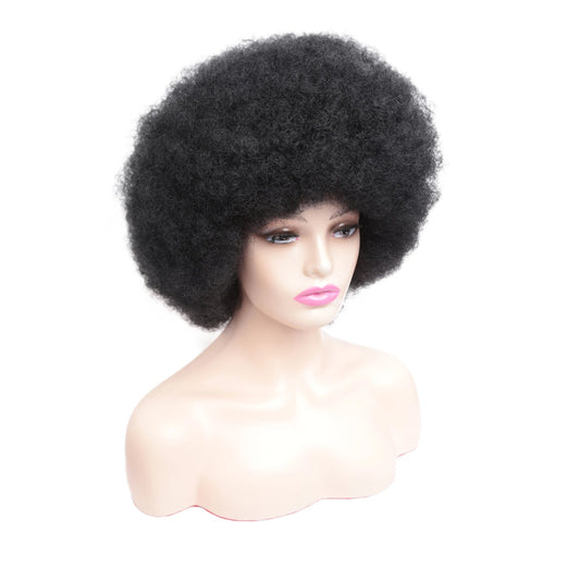 Amir Afro Wig Short Kinky Curly Wig With Bangs Black Natural Ombre Synthetic Hair For Women Party Dance Female Bob Wigs - Free Delivery Worldwide only at Flexi Africa