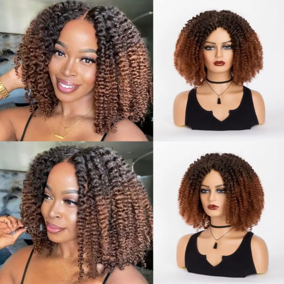 Chic Afro Kinky Curly Ombre Wig: Synthetic, Glueless, Ideal for Black Women - Flexi Africa Free Delivery www.flexiafrica.com