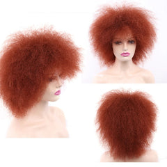 Short Hair Afro Kinky Curly Wigs Soft Curls Hair with Bangs Natural Heat Resistant Synthetic Cosplay Wigs - Free Delivery Worldwide only at Flexi Africa